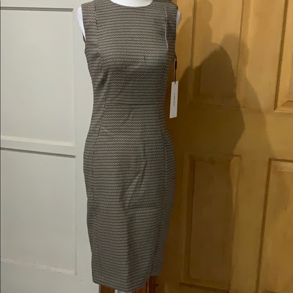 NWT Calvin Klein Dress